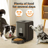 Automatic Pet Feeder with Timed Dispenser for Cats and Dogs