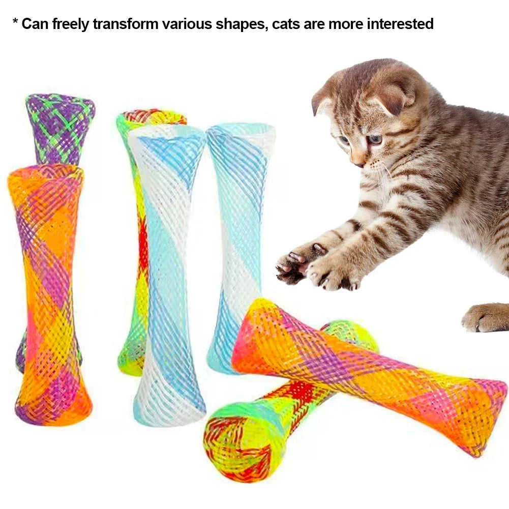 A tabby kitten plays with a set of colorful, spiral cat springs toys.
