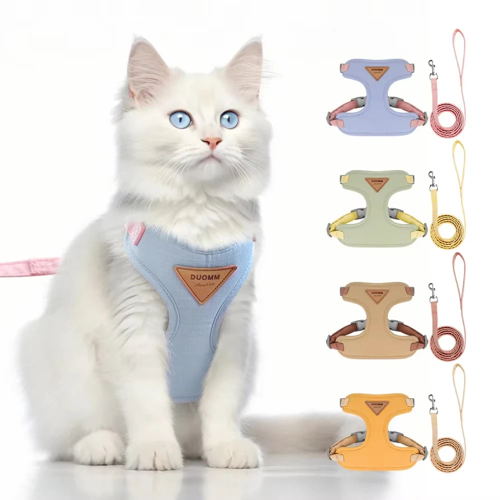 A white cat wearing a light blue escape-proof harness and leash set with various colored harnesses displayed beside it.