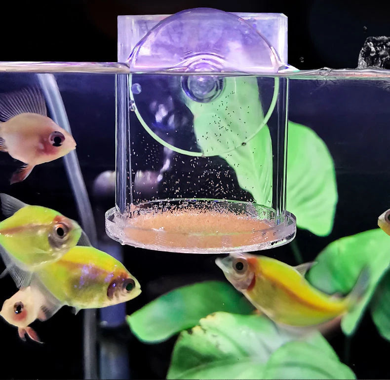 Clear Acrylic Aquarium Feeding Cup Ring Anti-drift Betta Fish Feeder