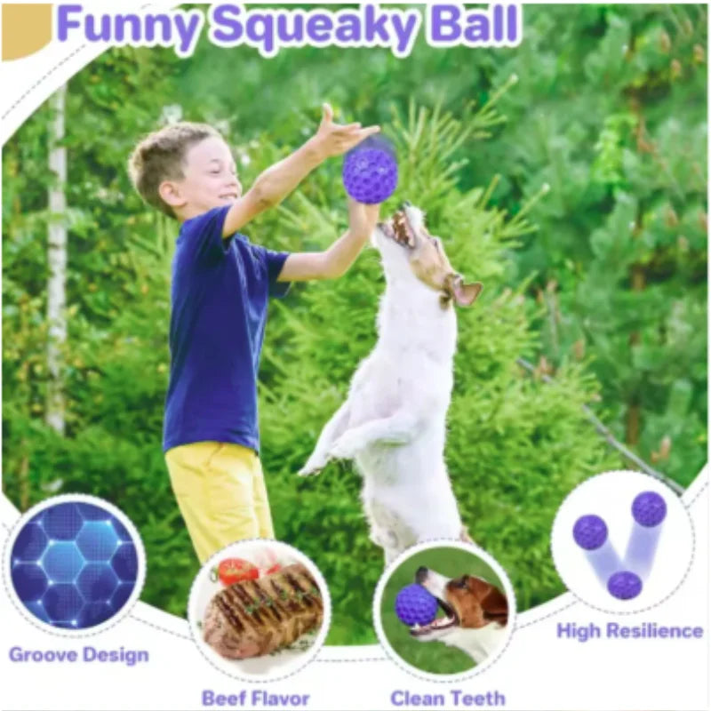Robuster Texturierter Gummiball zum Kauen für Hunde