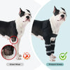 A white and black dog wearing a protective knee wear brace on its front leg.