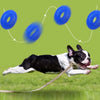 Bite-Resistant Squeaky Dog Chew Toy with Spiky Teething Ring