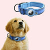 A light blue reflective dog collar with a round transparent tag is shown next to a golden retriever.