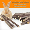 Bâtons de Mâche en Bois de Pommier Naturel pour Petits Animaux