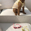 Fashion Pet Sunglasses with Heart-Shaped Jewelry Accents for Dogs & Cats