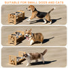Three dogs and a cat using elevated bowls with tilted stands and food mats for feeding