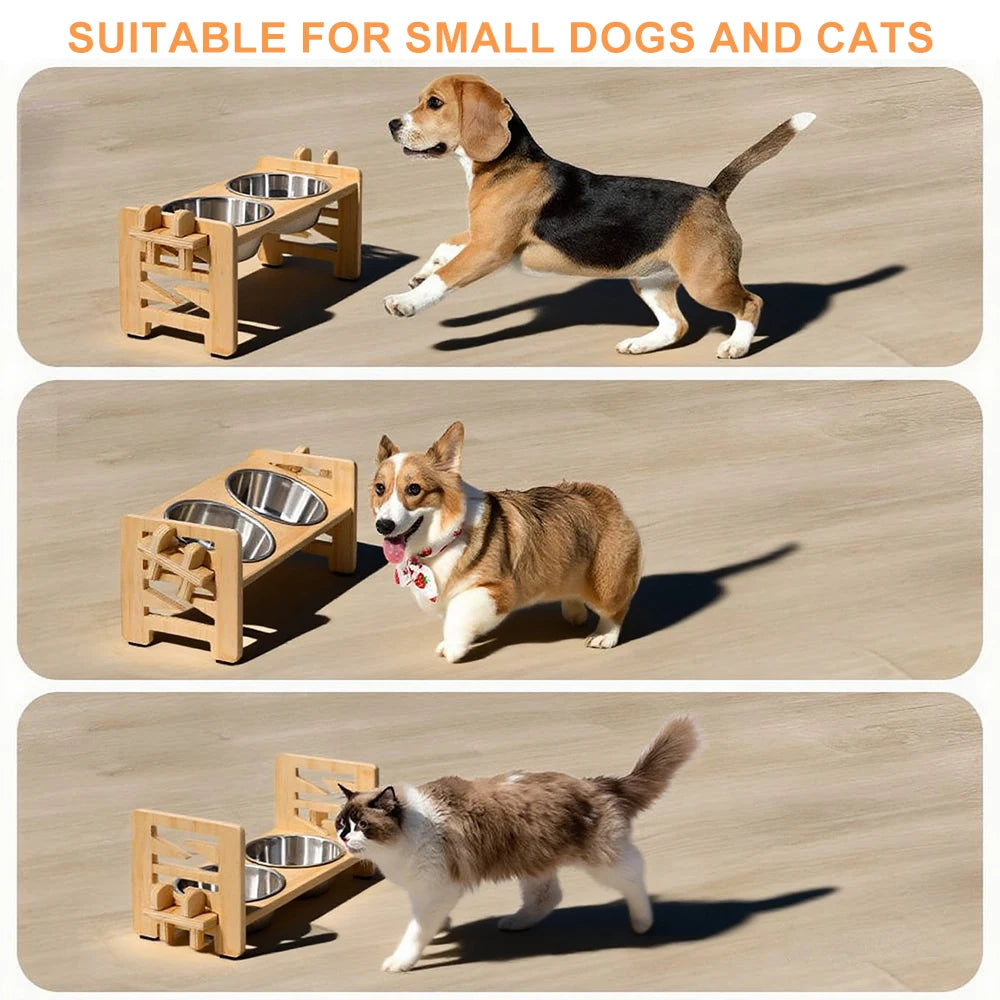 Three dogs and a cat using elevated bowls with tilted stands and food mats for feeding