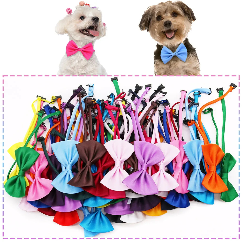 Colección de lazos ajustables de colores para perros y gatos, incluyendo rosa, azul, naranja y verde.