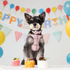 Classic Plaid Dog Collar, Harness & Leash Set with Bowtie