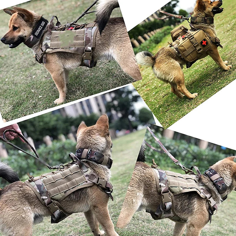 A dog wearing a tactical harness vest is shown outdoors in a grassy area.