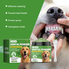 A jar of Yegbong Dental Powder for dogs next to a dog's mouth, showing teeth and gums.