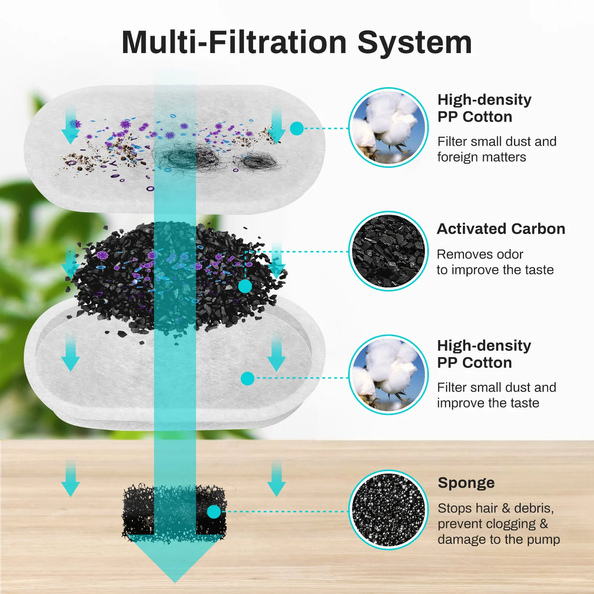 Multi-filtration system for a pet water fountain showing layers of PP cotton, activated carbon, and sponge filters.
