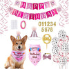 Pet Birthday Celebration Set with Hat Bandana and Bow Tie