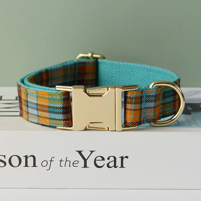 A turquoise plaid dog collar with a gold buckle resting on a white surface.