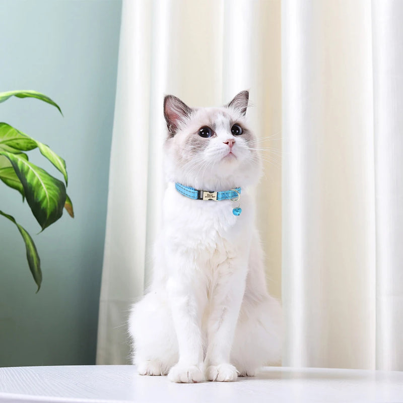 Reflektierendes Nylon-Hundehalsband mit Glocke und Namensschild