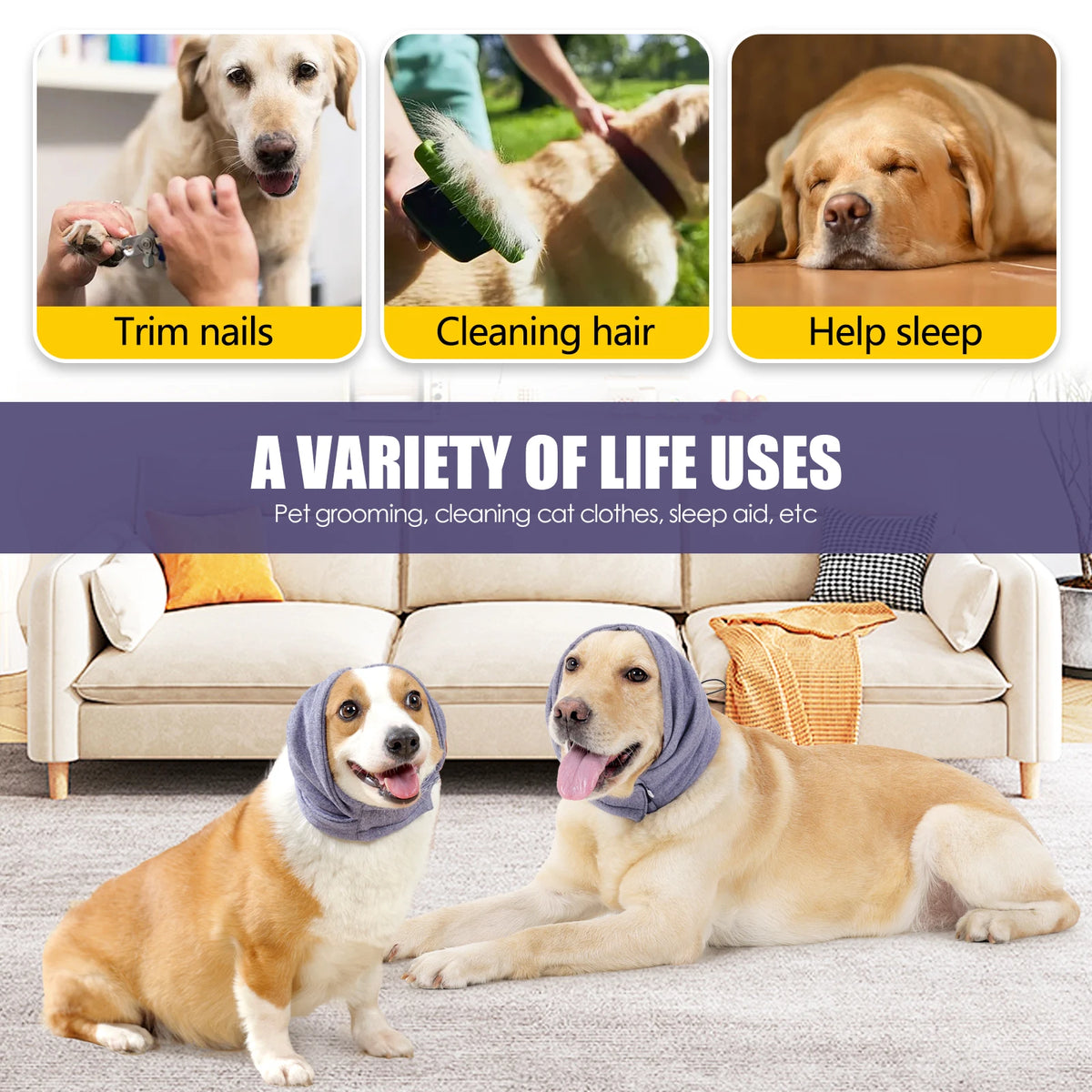 A golden retriever and a beagle are sitting together on a couch, with various grooming tools displayed above.