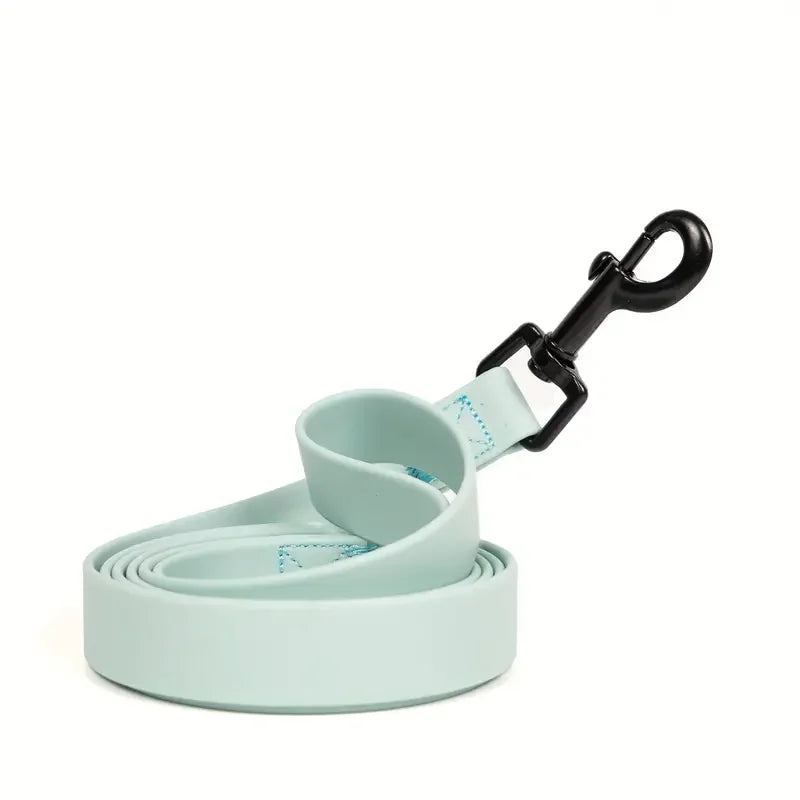 A light mint green waterproof PVC dog leash with a black clip and a matching collar.