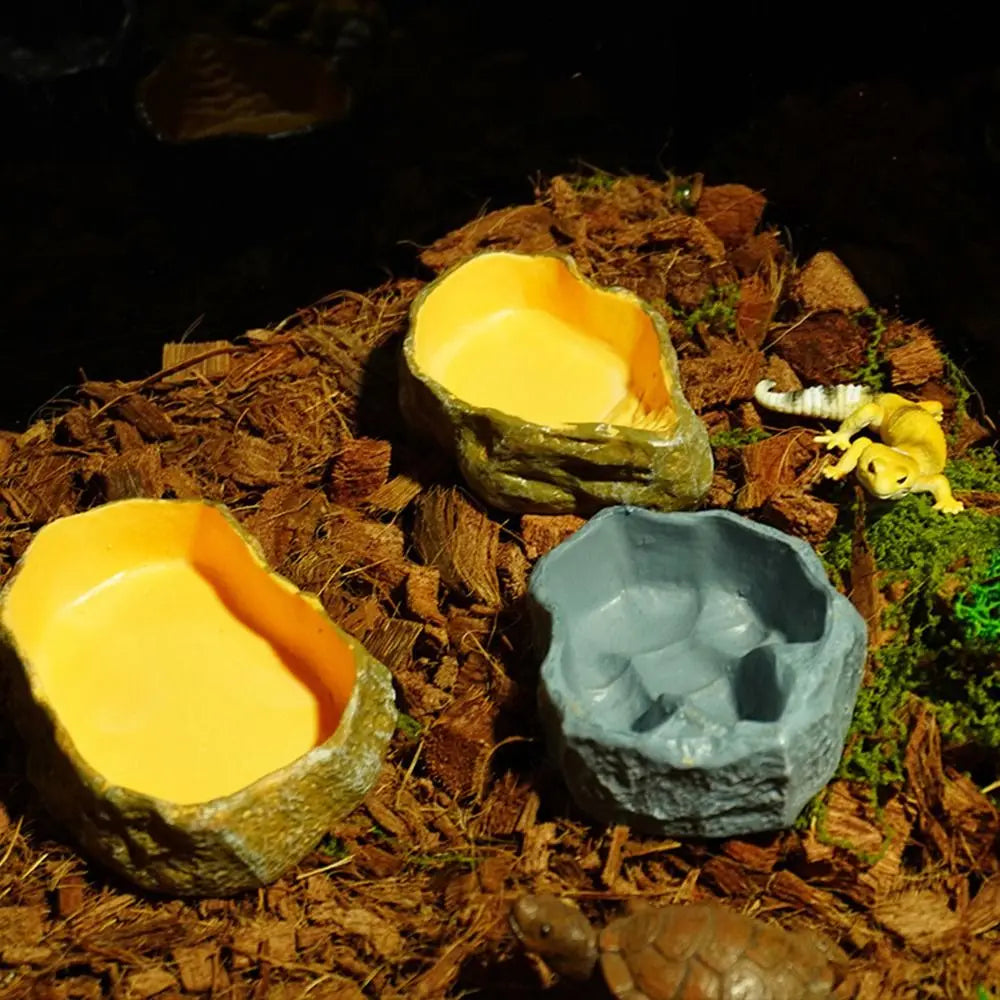 Natural Tree Stump Reptile Feeding and Water Bowl