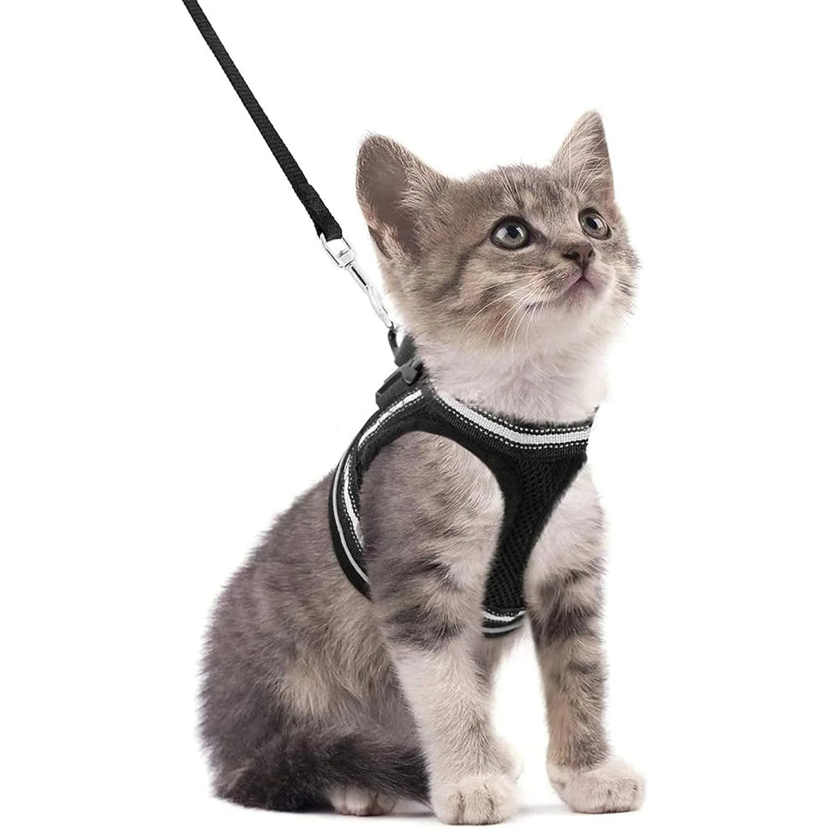 Escape-Proof Cat Harness and Leash Set with Reflective Strips