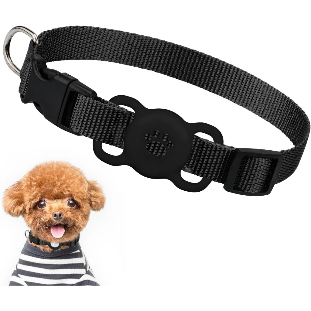 Schwarzer Silikon-AirTag-Haltergurt an einem Hundekragen, neben einem kleinen flauschigen Hund.
