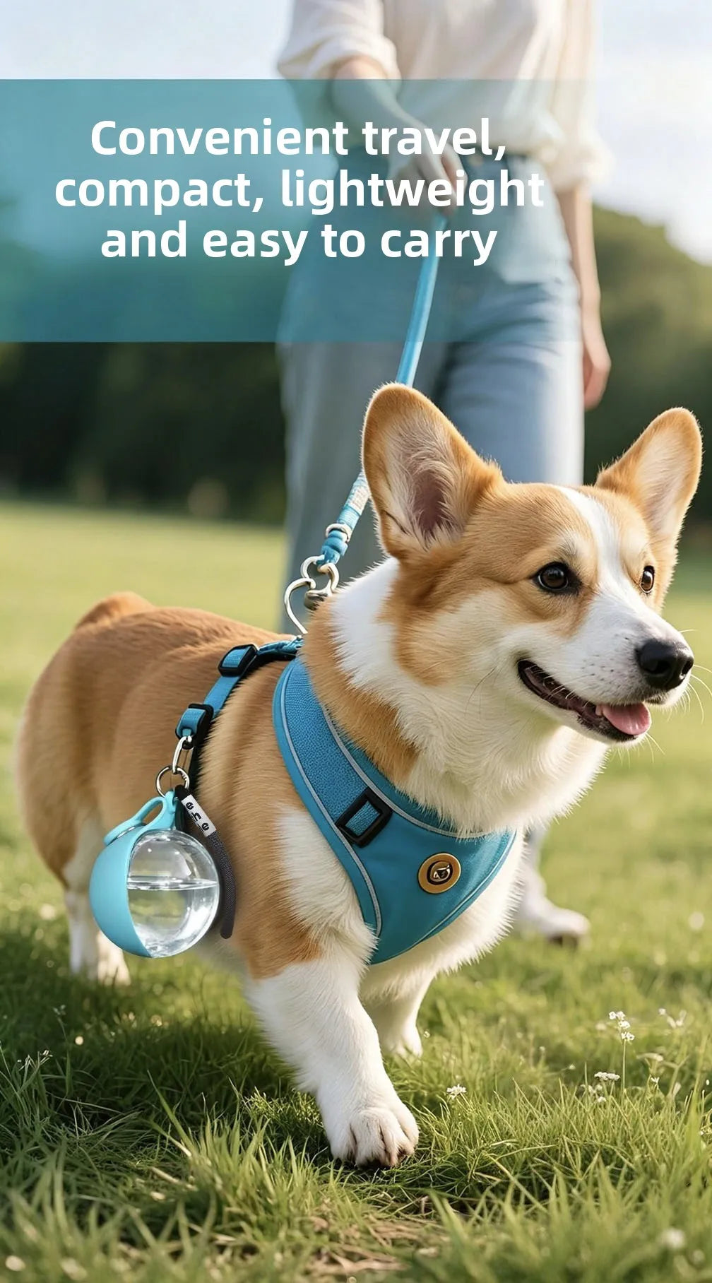 A happy dog wearing a blue harness and carrying a clear water bottle dispenser outdoors.
