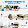 Interactive Automatic Rolling Dog Ball with Motion Activation