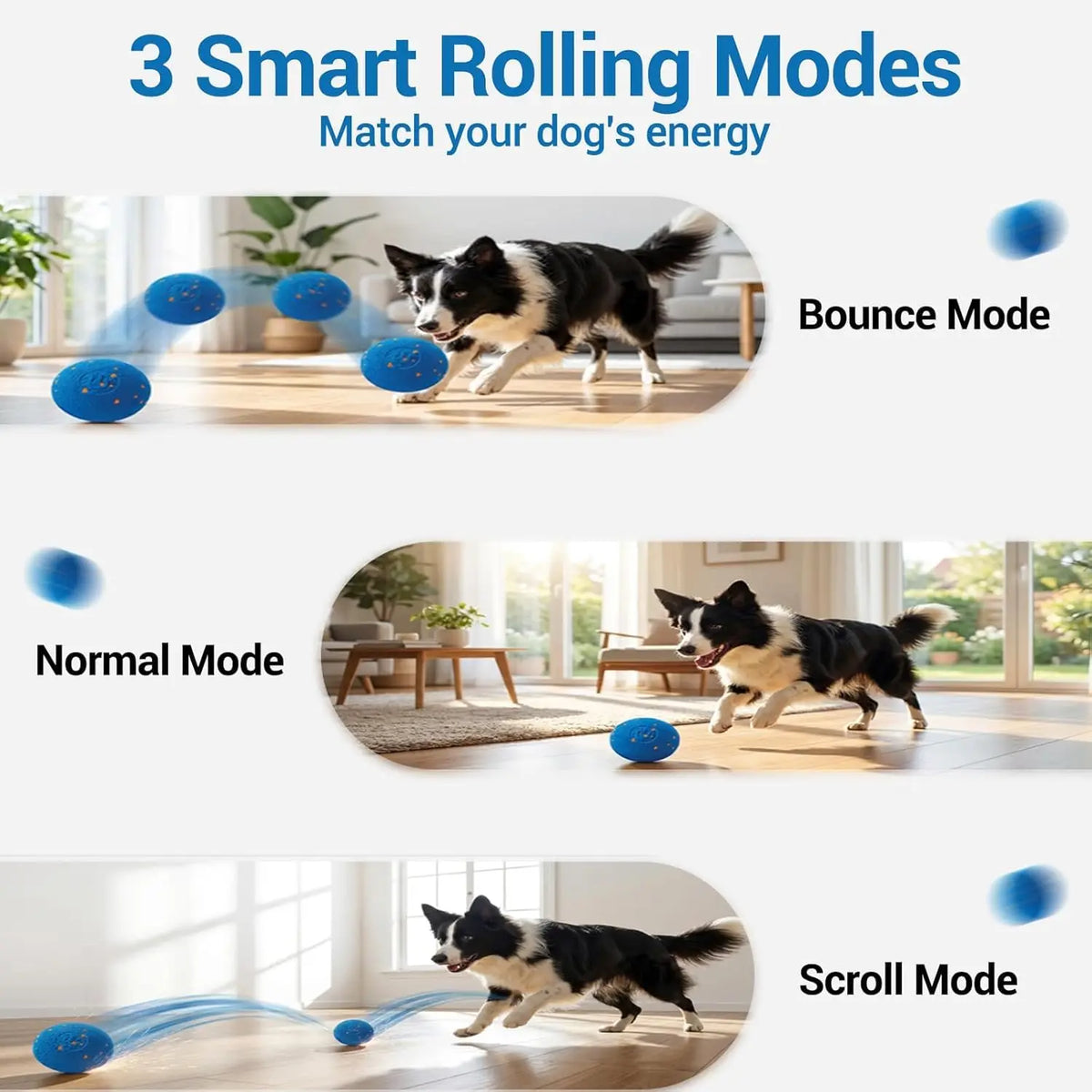 Interactive Automatic Rolling Dog Ball with Motion Activation