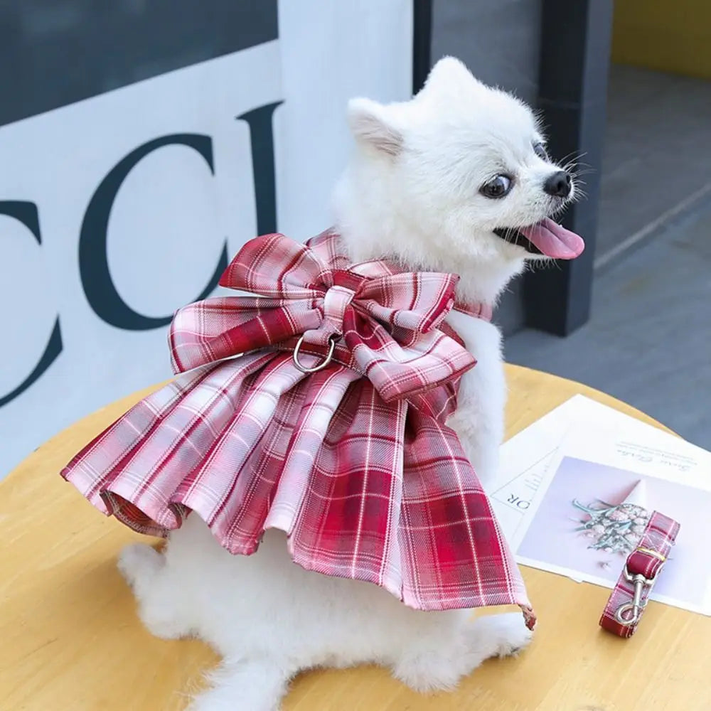 A white dog wearing a red and white plaid harness dress.