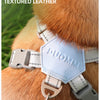 Atmungsaktives reflektierendes Hundegeschirr & Leinen-Set