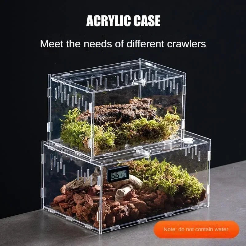 A clear acrylic case containing a reptile terrarium setup with substrate and greenery.