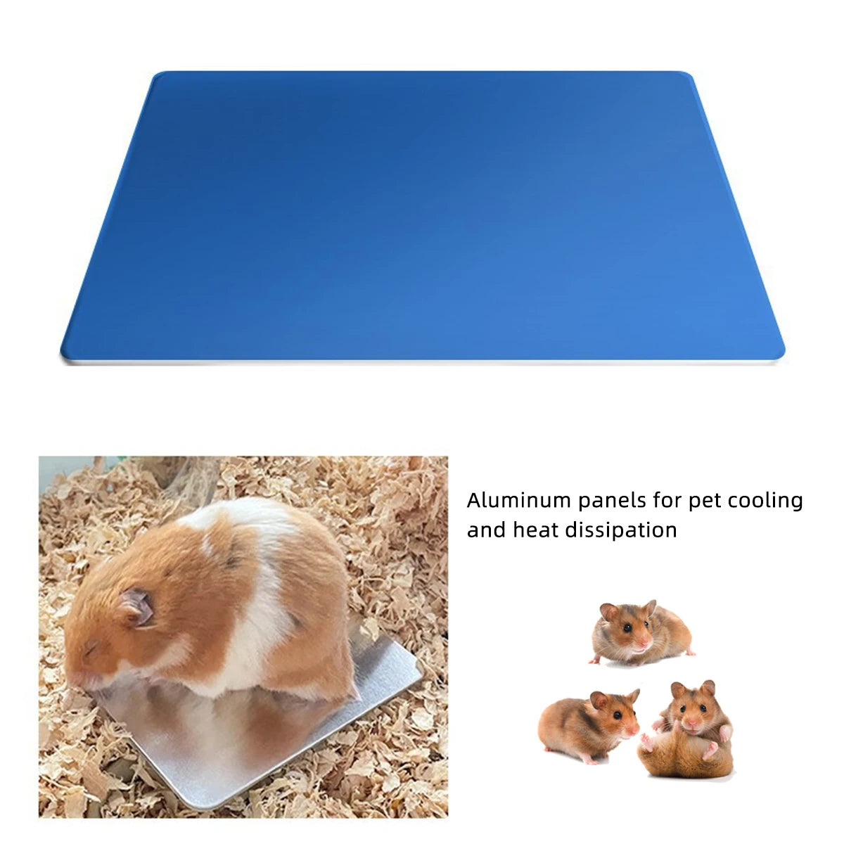 Blue aluminum panel used as a cooling pad for pet heat dissipation, shown next to small rodents.