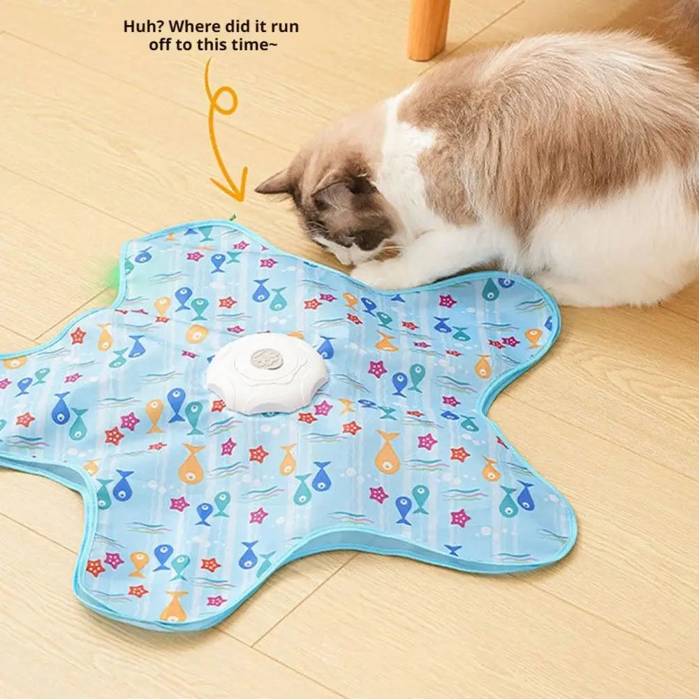Interactive Hide-and-Seek Cat Toy with Feather Teaser