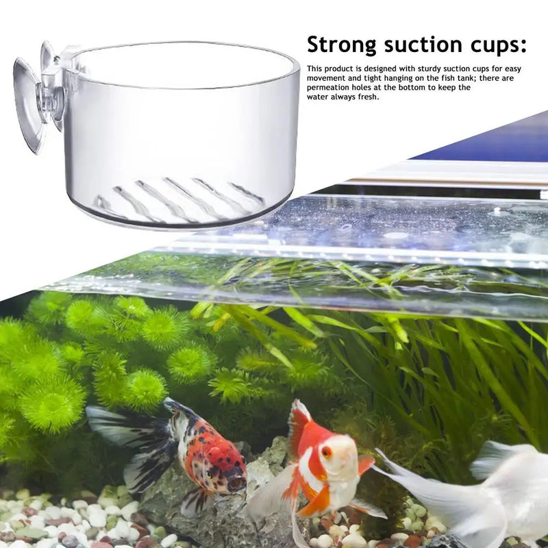Acrylic Aquarium Plant Cup with Suction Holder