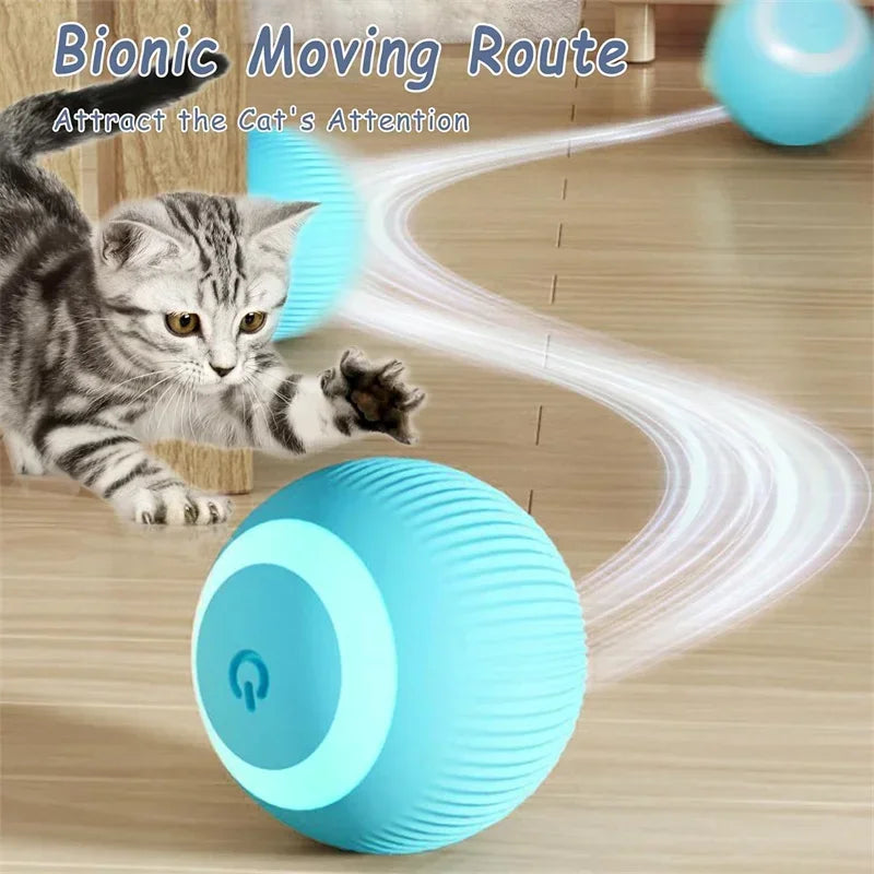 A cat is attracted to a blue rolling ball toy that emits a light beam, demonstrating a movement route for the cat's attention