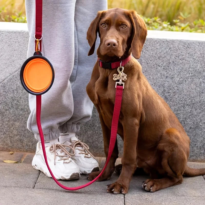 Collapsible Silicone Pet Travel Bowl for Food and Water