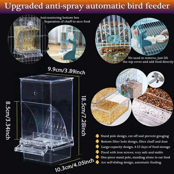 Mangeoire à oiseaux automatique en acrylique transparent avec boîte anti-éclaboussures et mécanisme d'alimentation