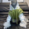 A light green hooded sweater worn by a dog lying on a dark couch.