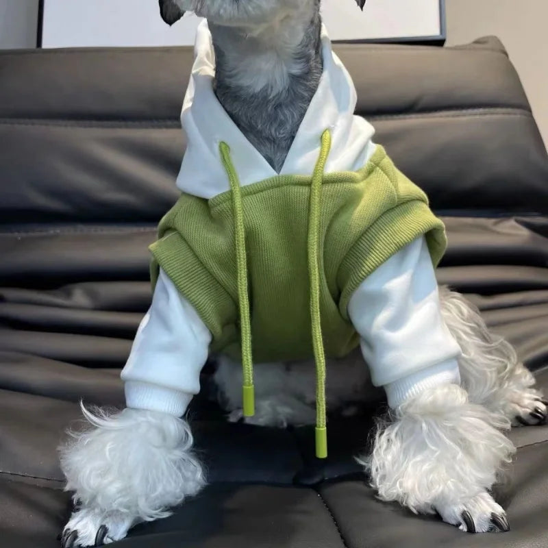 A light green hooded sweater worn by a dog lying on a dark couch.