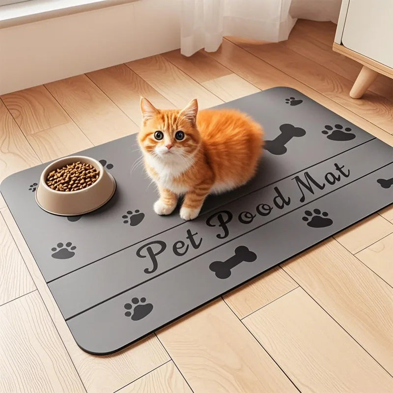 An orange tabby cat sits on a gray pet food mat with paw prints and a bone design, next to a bowl of dry food.