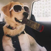 Cigar-Shaped Squeaky Plush Dog Toy for Interactive Play and Teeth Care