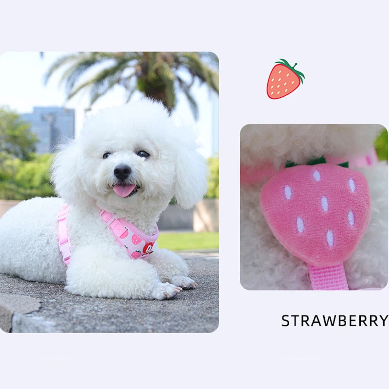 Strawberry Print Dog Harness and Leash Set