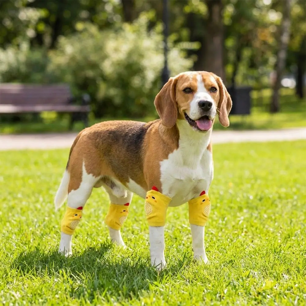 Dog Knee Pads with Elastic Leg Covers for Joint Protection