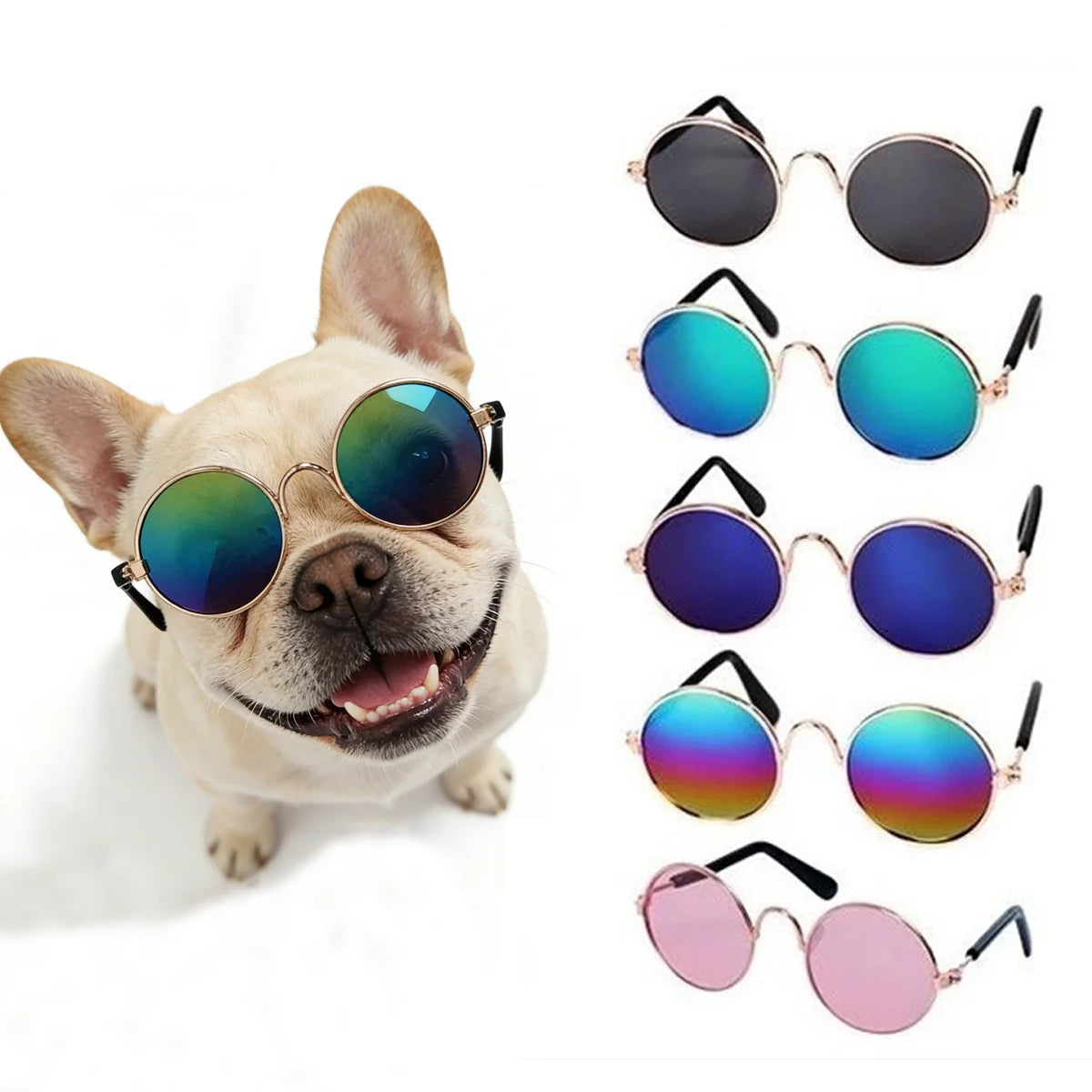 Eine Sammlung von Vintage-Katzen- und Hundesign-Sonnenbrillen in verschiedenen Farben und Stilen.