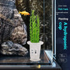 A clear plastic hydroponic planting cup with green plants inside a glass fish tank.
