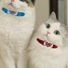 Heart-Shaped Velvet Cat Collar with Bell