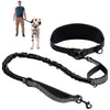Hands-Free Dog Waist Leash with Lumbar Support and Reflective Bungee