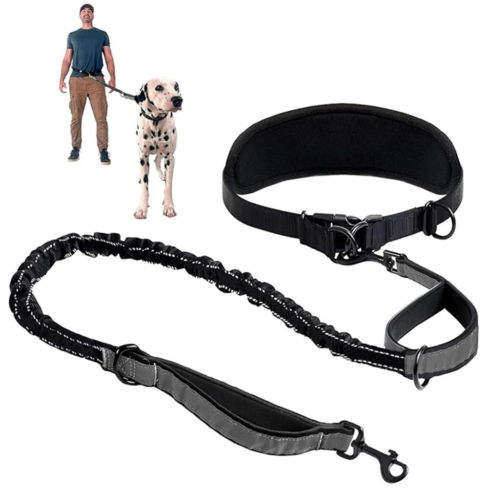 Hands-Free Dog Waist Leash with Lumbar Support and Reflective Bungee