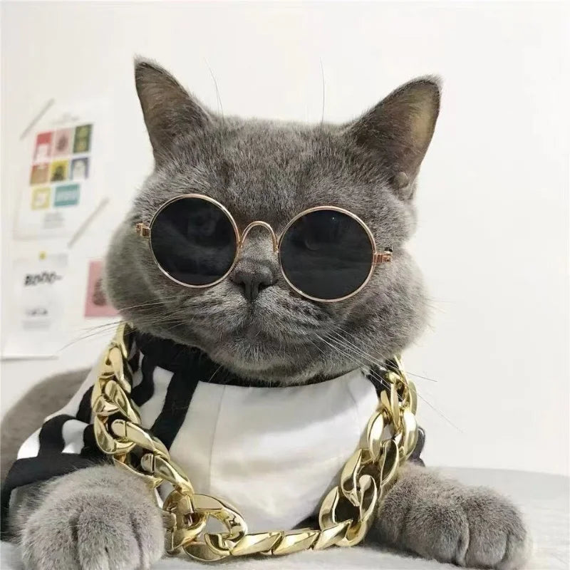 Non-Slip Pet Sunglasses for Cats & Small Dogs