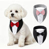 A fluffy white dog wearing an elegant black and white tuxedo bandana with a pink bow.